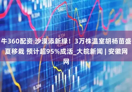 牛360配资 沙漠添新绿！3万株温室胡杨苗盛夏移栽 预计超95%成活_大皖新闻 | 安徽网