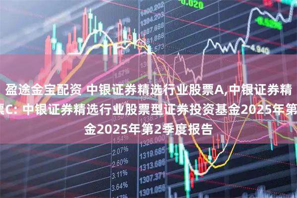 盈途金宝配资 中银证券精选行业股票A,中银证券精选行业股票C: 中银证券精选行业股票型证券投资基金2025年第2季度报告